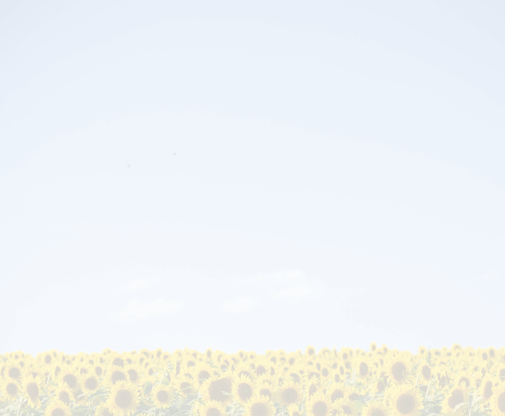 bg 1